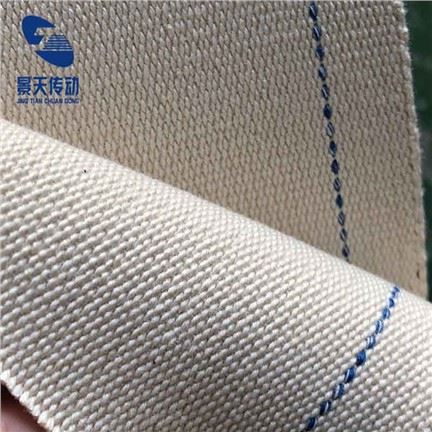 Canvas færibelti í matvælum